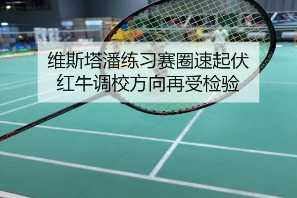 维斯塔潘练习赛圈速起伏 红牛调校方向再受检验